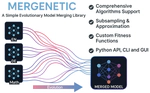 Mergenetic: a Simple Evolutionary Model Merging Library