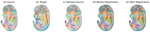Domain Elastic Transform: Bayesian Function Registration for High-Dimensional Scientific Data