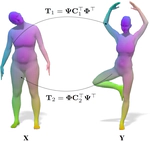 Coupled functional maps