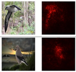 Leveraging sparse and shared feature activations for disentangled representation learning