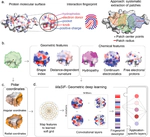 Learning interaction patterns from surface representations of protein structure